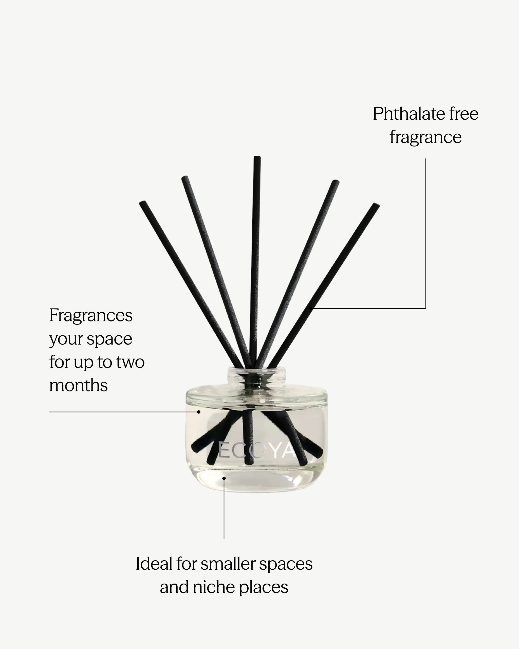 Sea Salt & Coconut Mini Reed Diffuser