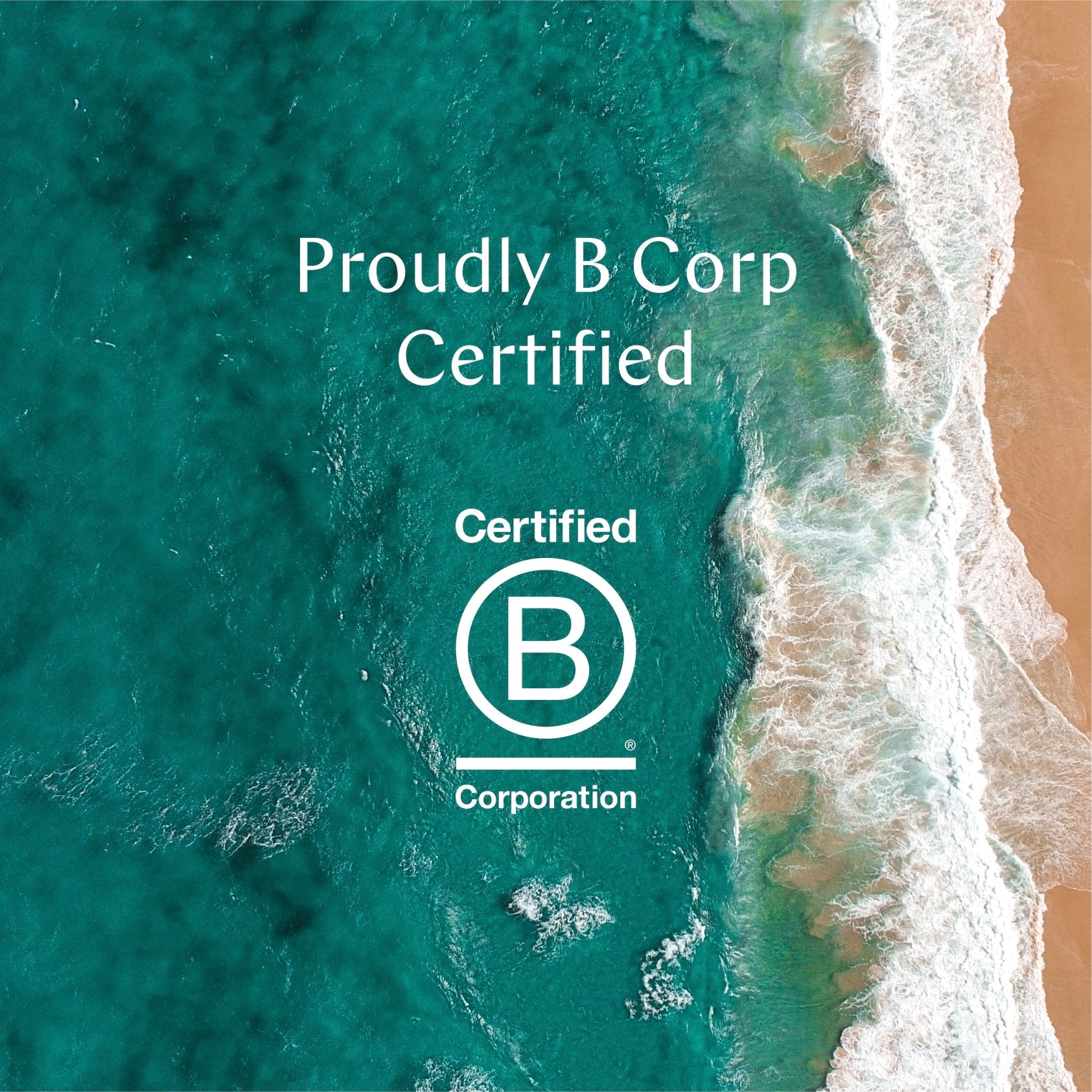 B Corp