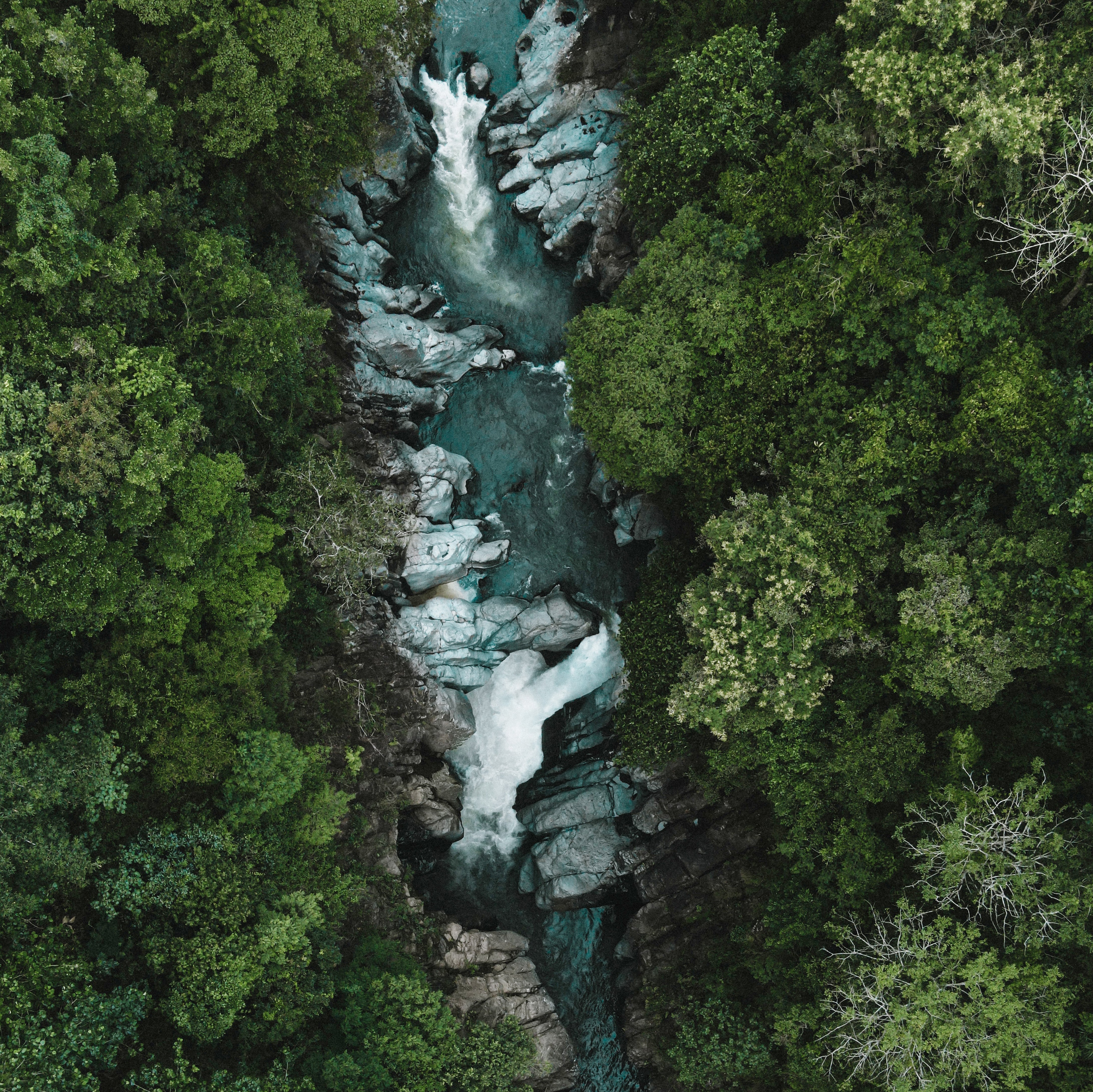 The answers to your questions on everything B Corp certification