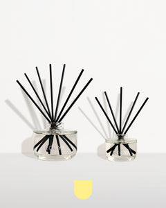 Sea Salt & Coconut Reed Diffuser Duo