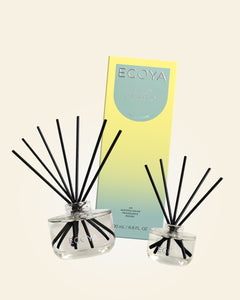 Sea Salt & Coconut Reed Diffuser Duo