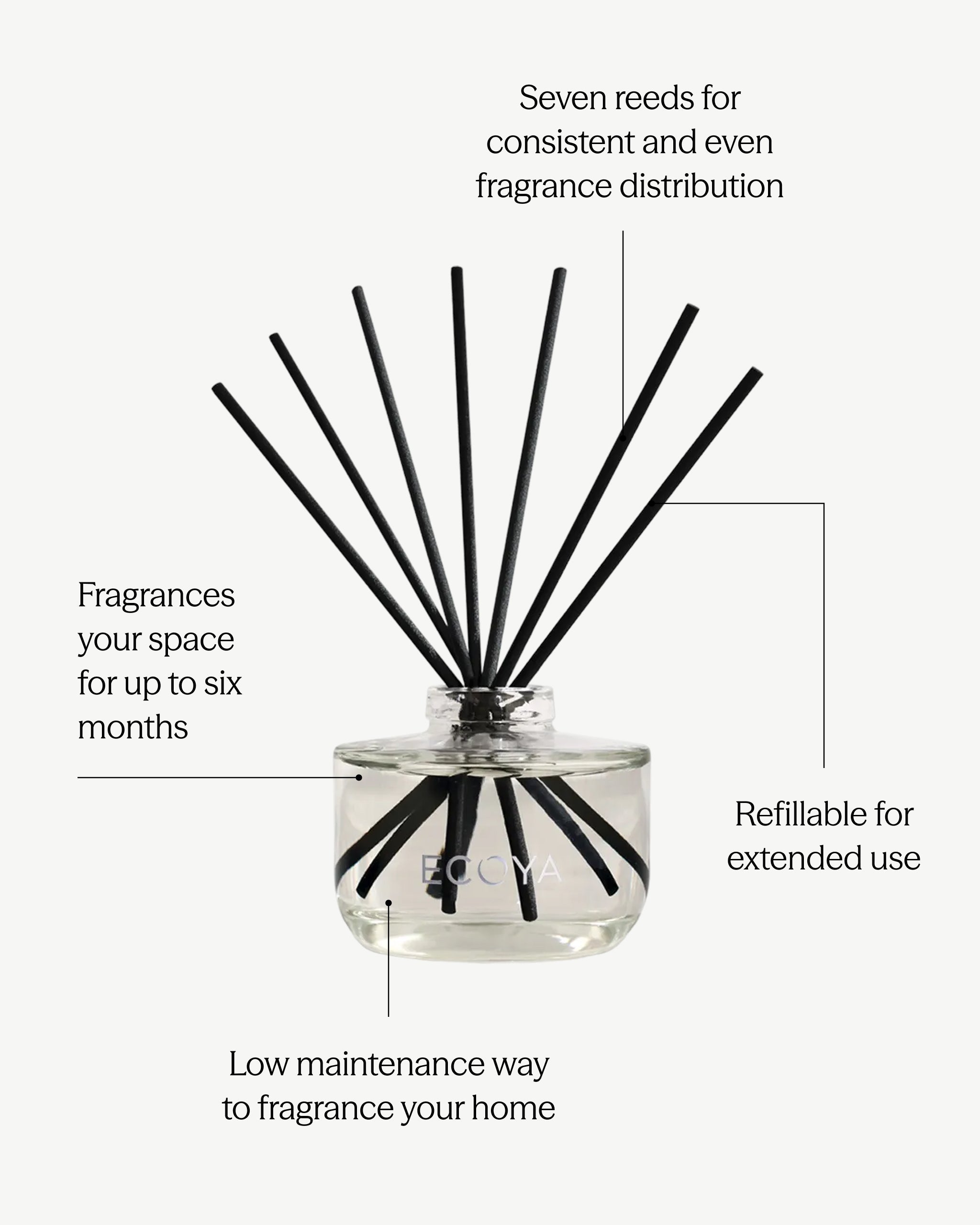 Sea Salt & Coconut Reed Diffuser