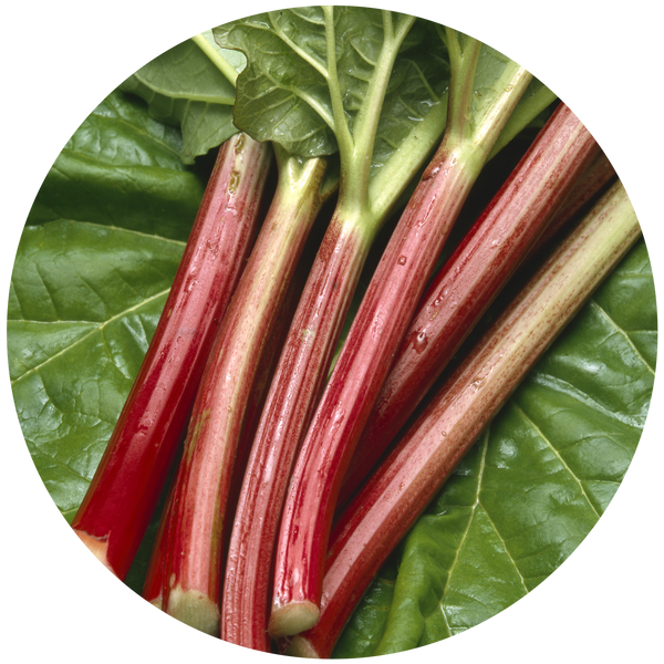 Rhubarb