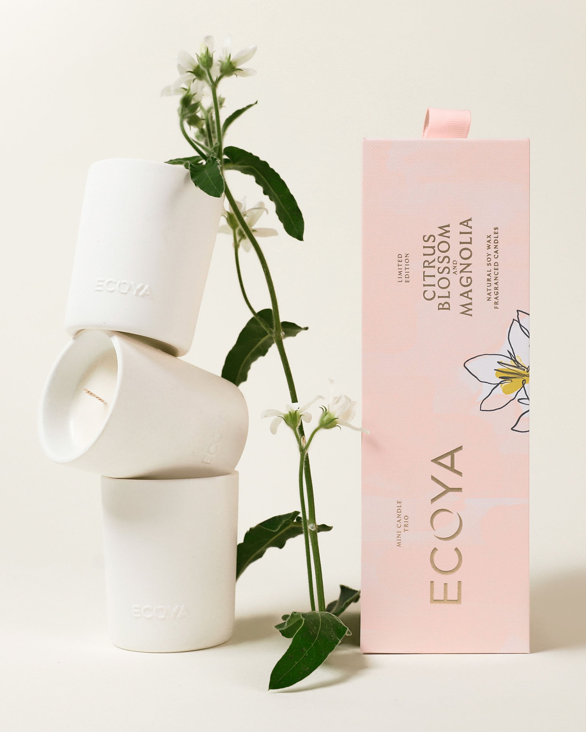 Ceramic Collection: Citrus Blossom & Magnolia Mini Ceramic Candle Gift Set