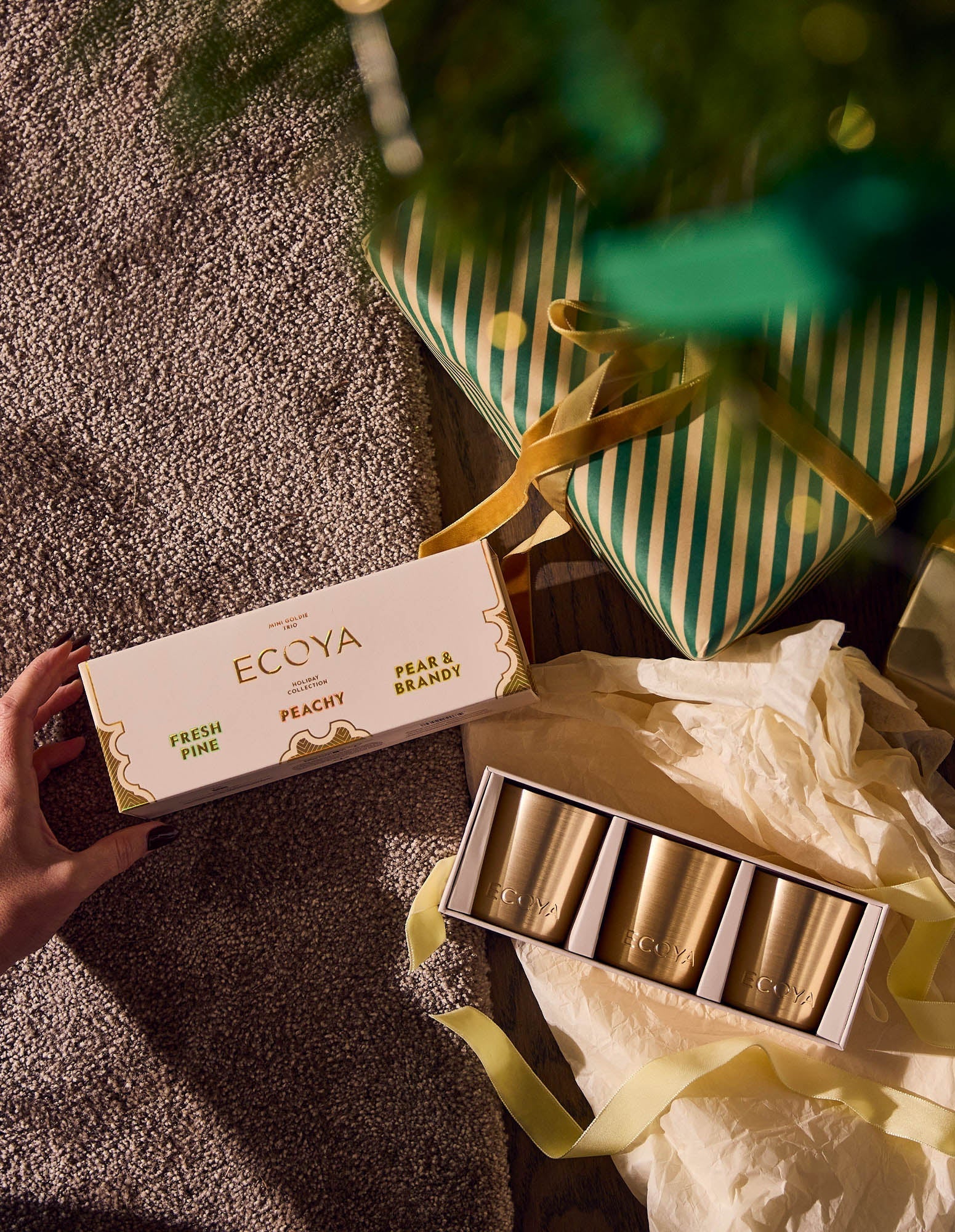 Soy Candles, Diffusers & Fragrances Online In Australia – ECOYA Australia