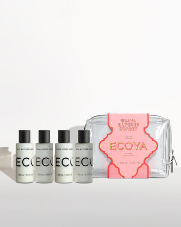 Holiday: Guava & Lychee Sorbet Mini Takeaway Set