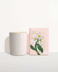 Mother's Day: Citrus Blossom & Magnolia Ceramic Candle