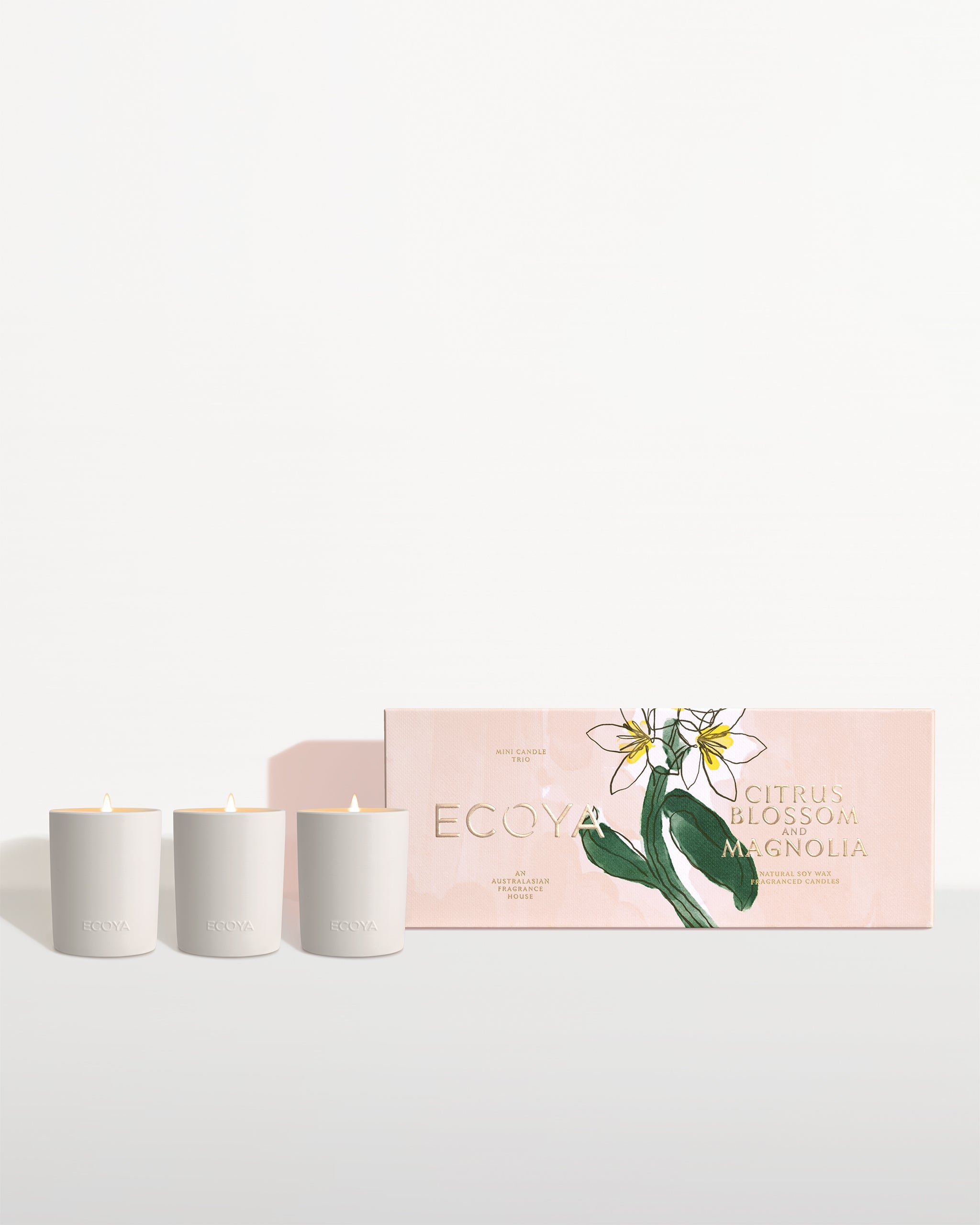 Ceramic Collection: Citrus Blossom & Magnolia Mini Ceramic Candle Gift Set