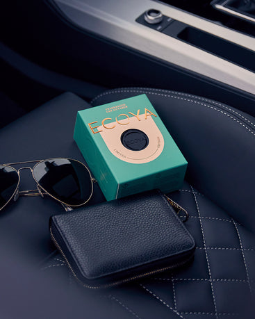 The Great Indoors Collection: Eucalyptus & Patchouli Car Diffuser